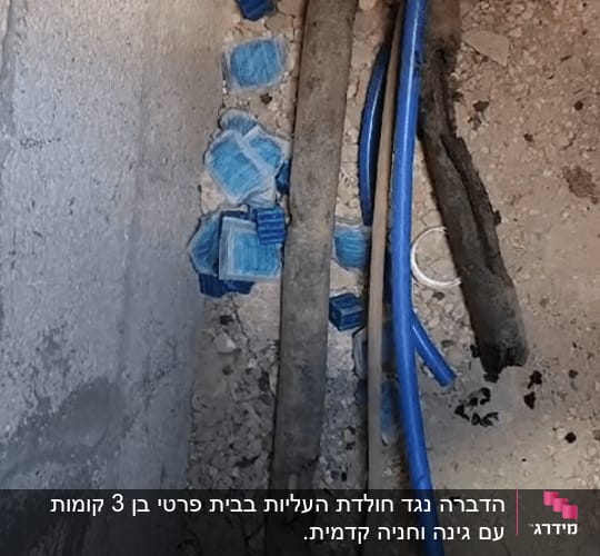 חבילות רעל עכברים כחולות על רצפה ליד צינורות